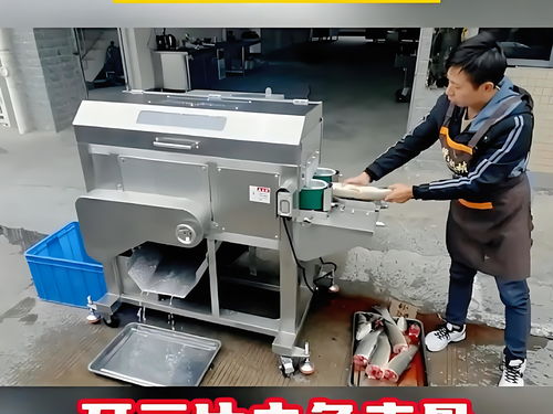 鱼类加工设备与木竹材加工机械 跨界科技赋能产业升级