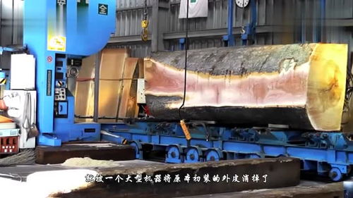 德国木材加工的工业美学 精准与霸气的机械交响